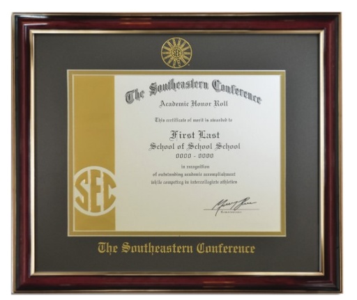 [BLD00229] CONF-SEC SEC20 AHR