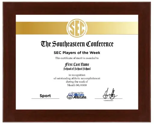 [BLD01175] CONF-SEC SEC30A Community Service Cert/Frame